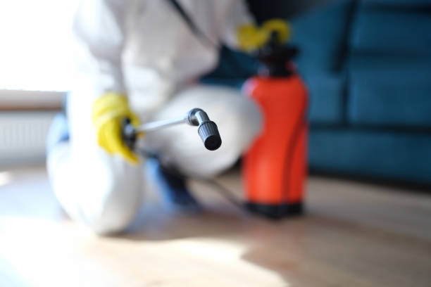 Mold Remediation for Vacation Homes in Waverly, NY